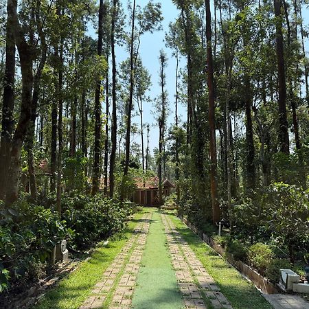 Coffee Grove Resort Chikmagalūr Extérieur photo