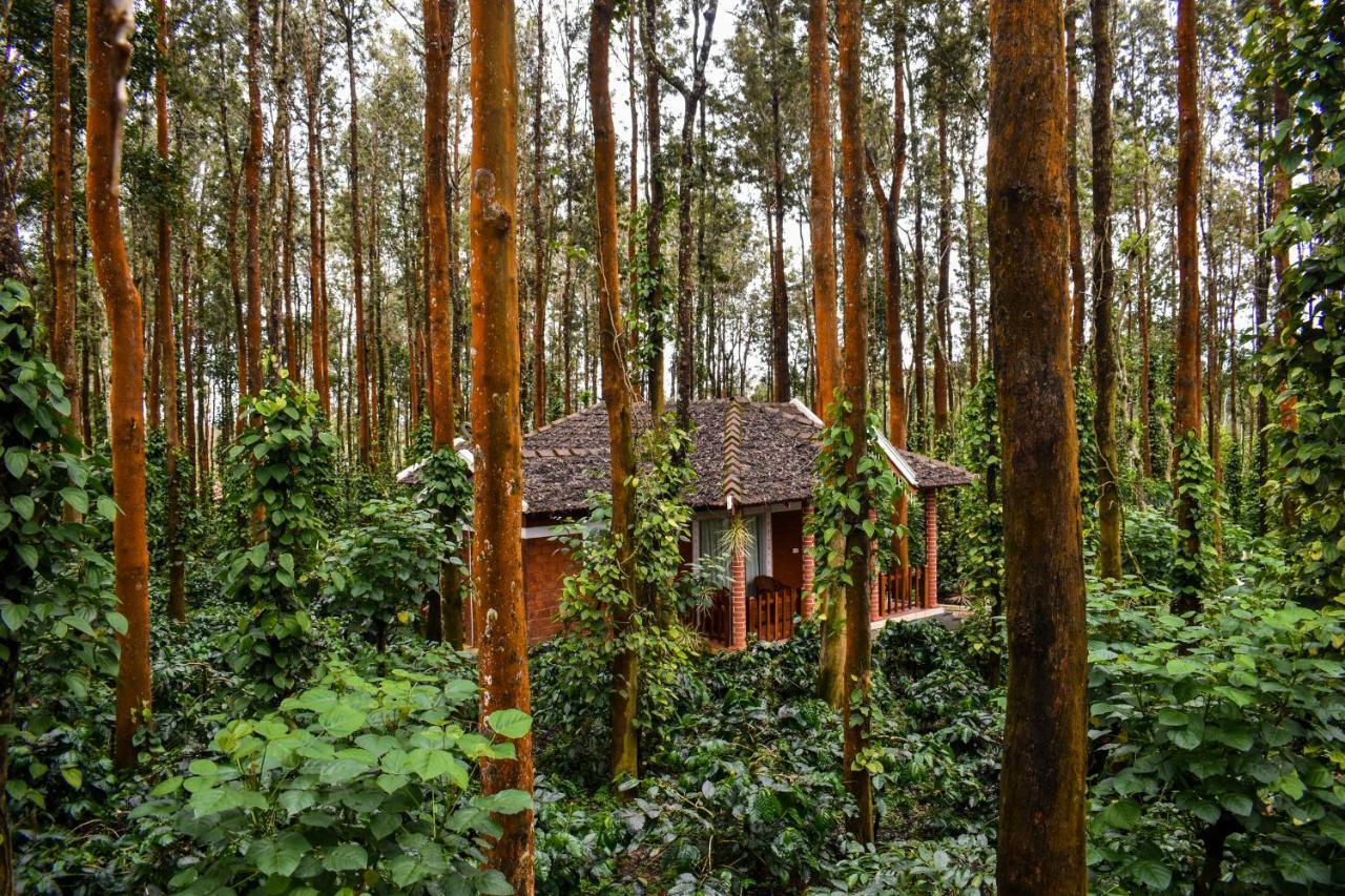 Coffee Grove Resort Chikmagalūr Extérieur photo