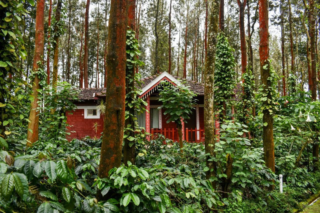 Coffee Grove Resort Chikmagalūr Extérieur photo