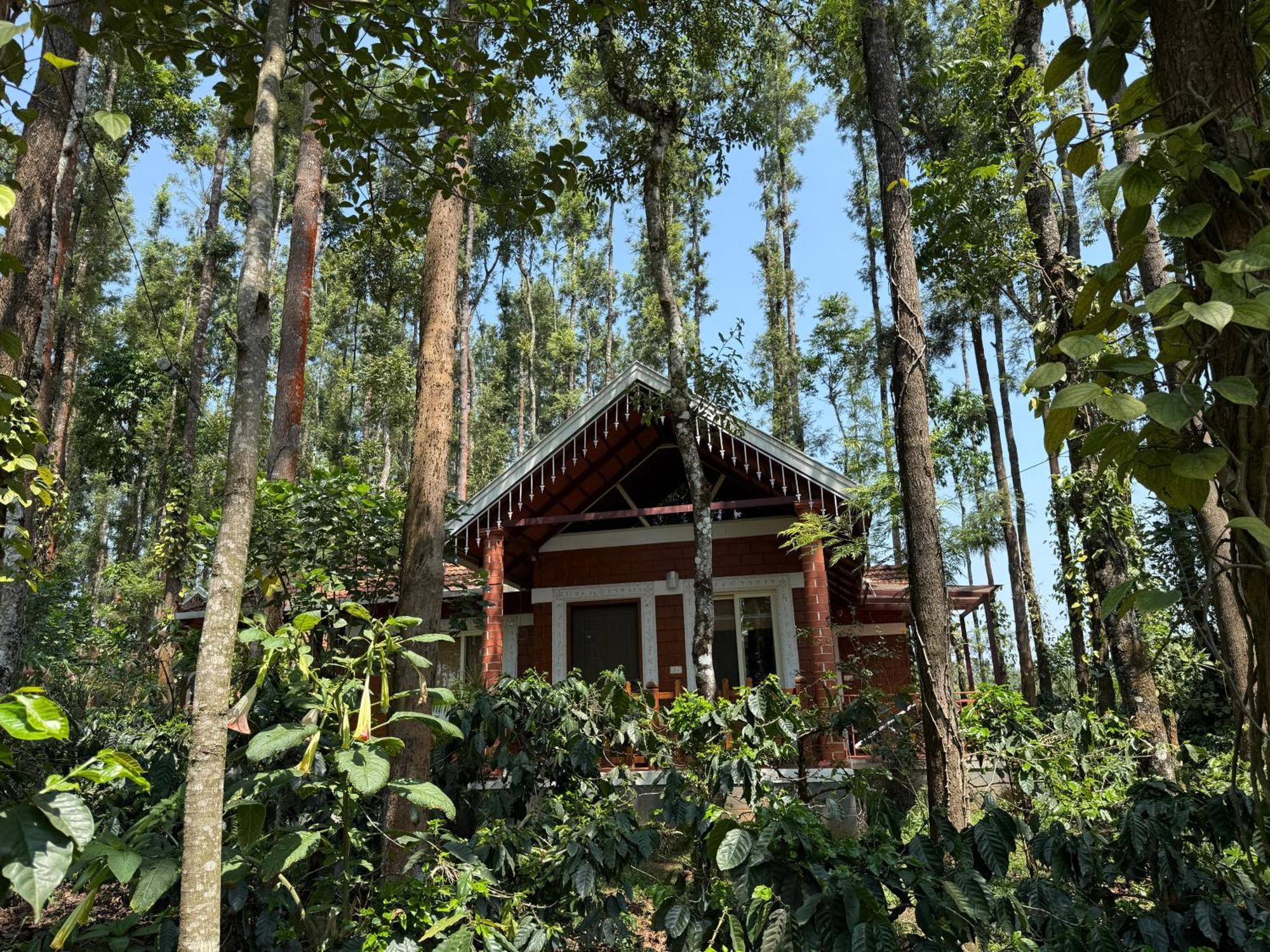 Coffee Grove Resort Chikmagalūr Extérieur photo
