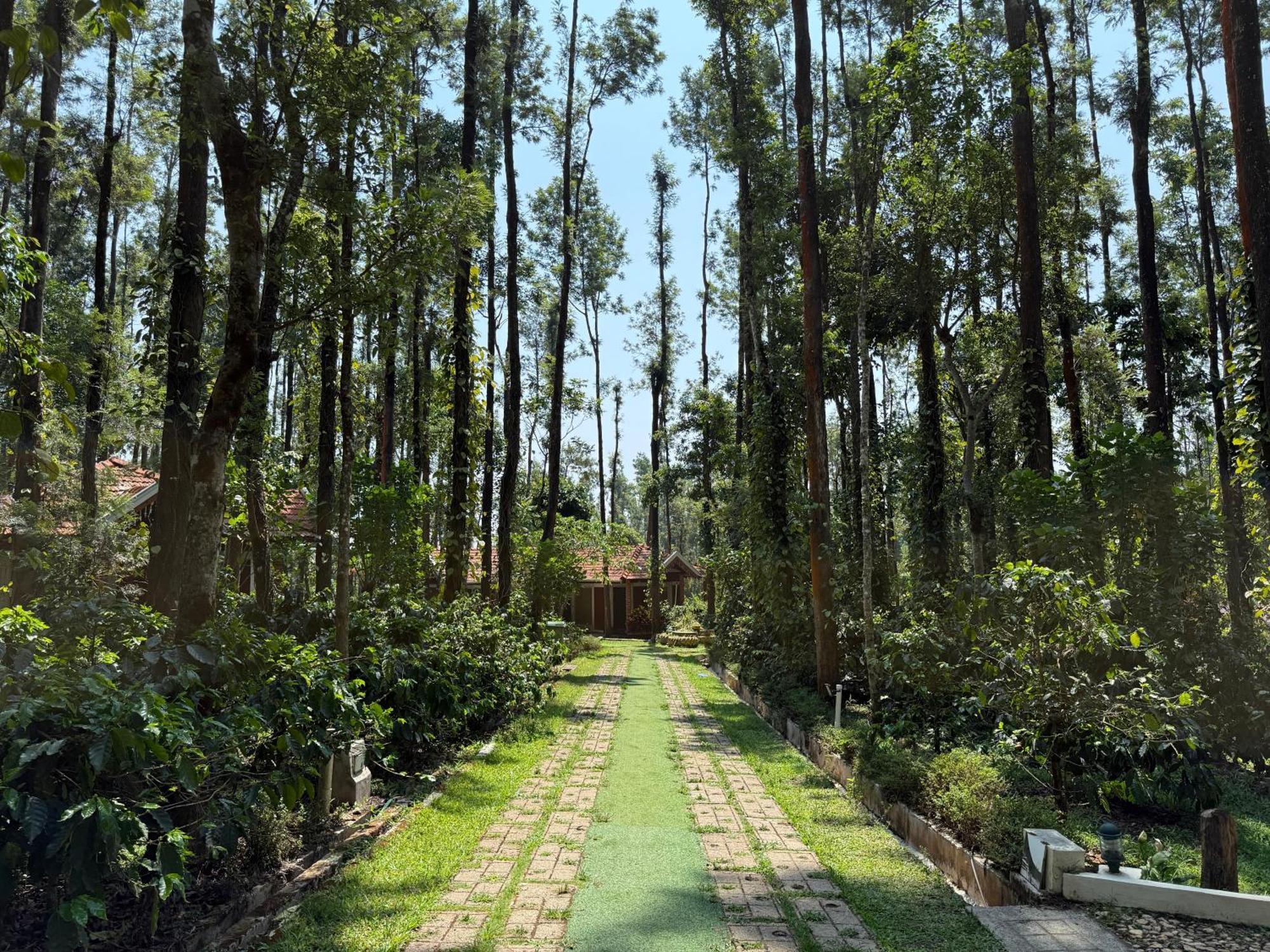 Coffee Grove Resort Chikmagalūr Extérieur photo
