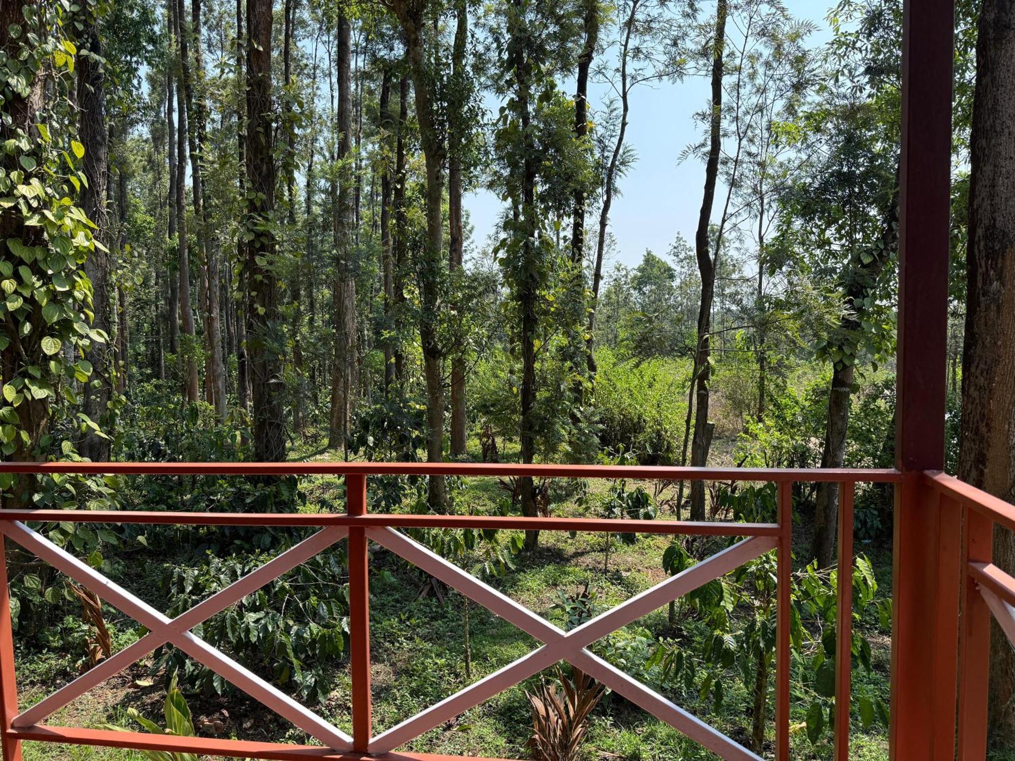 Coffee Grove Resort Chikmagalūr Extérieur photo