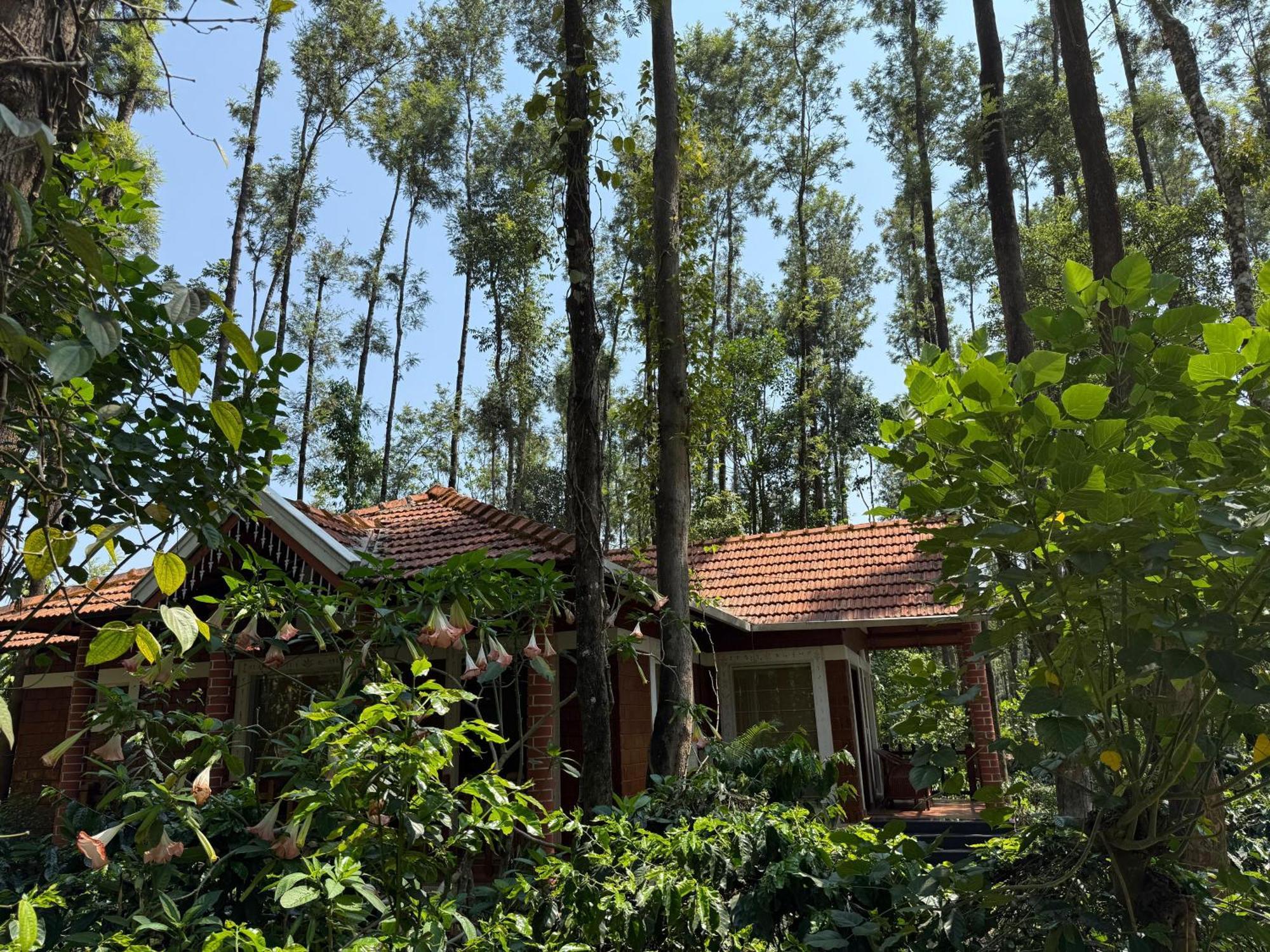 Coffee Grove Resort Chikmagalūr Extérieur photo