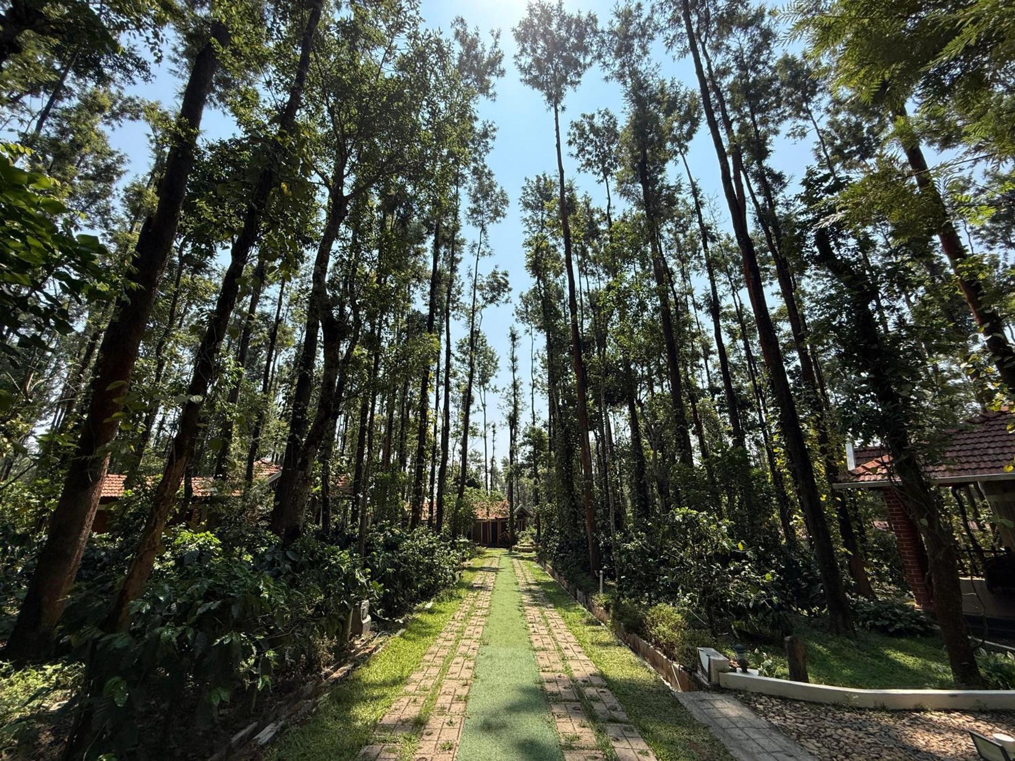 Coffee Grove Resort Chikmagalūr Extérieur photo