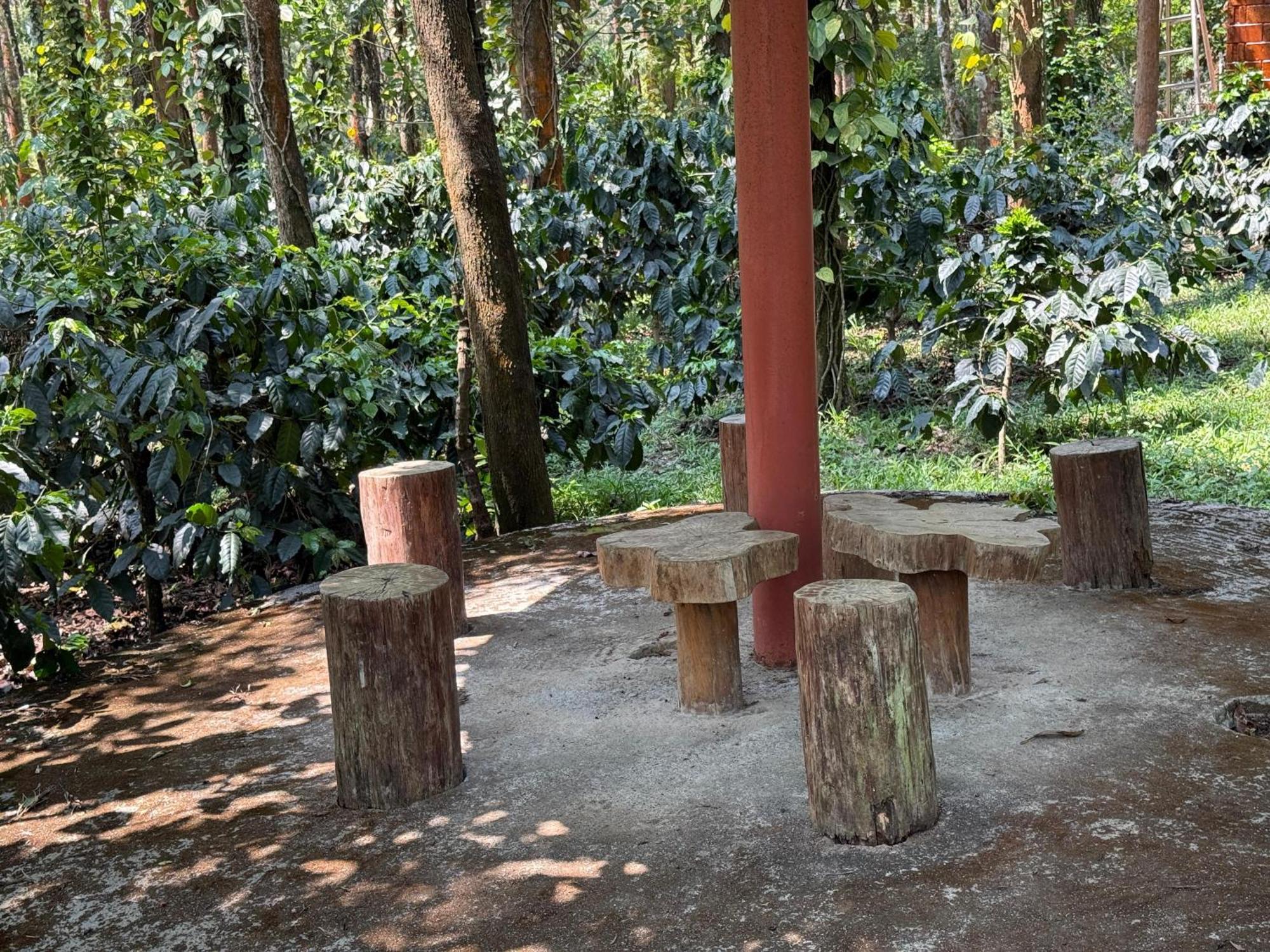 Coffee Grove Resort Chikmagalūr Extérieur photo