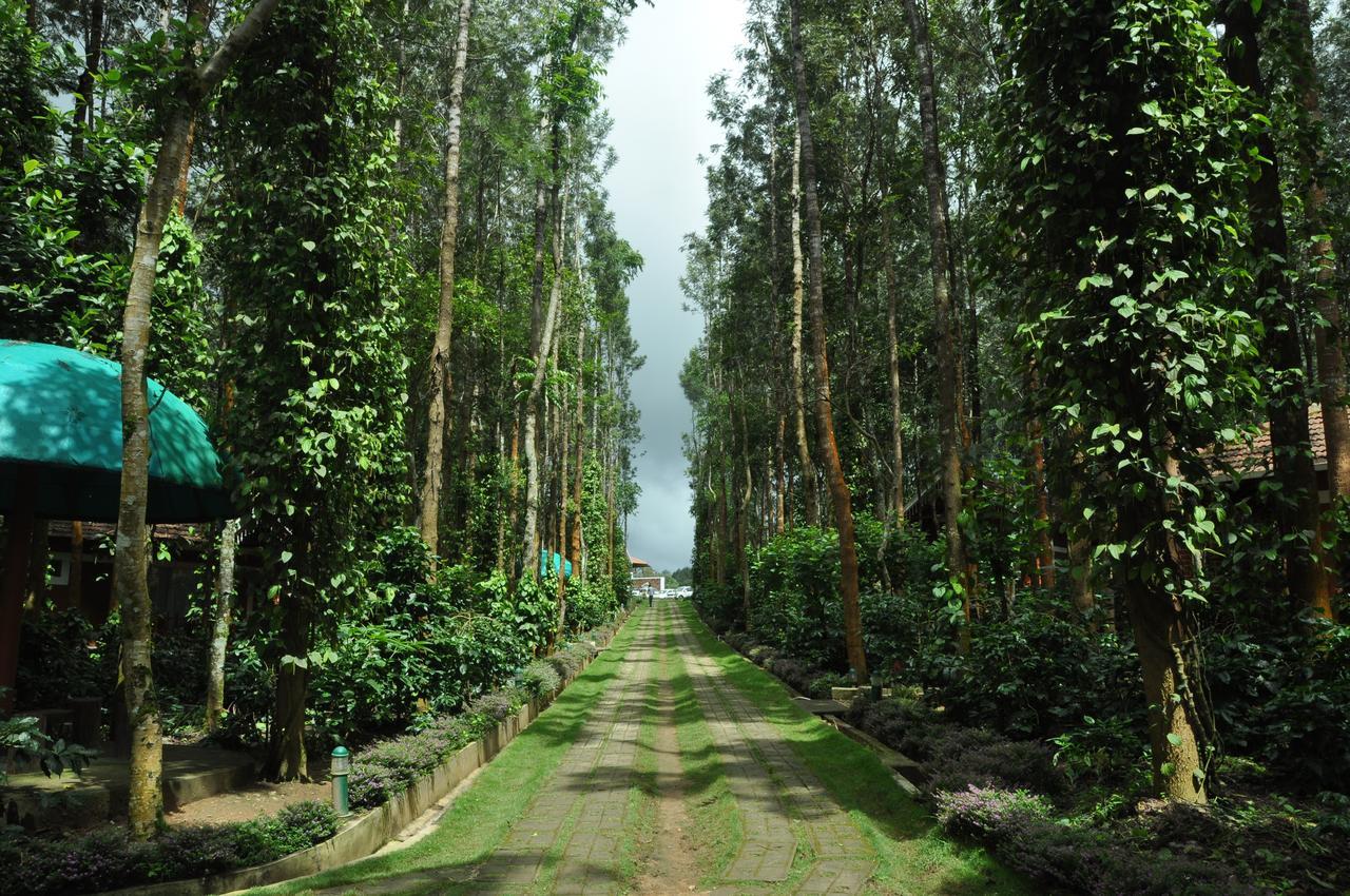 Coffee Grove Resort Chikmagalūr Extérieur photo